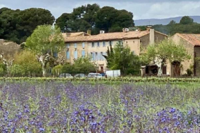 Gîte - Le Relais d'Affiac
